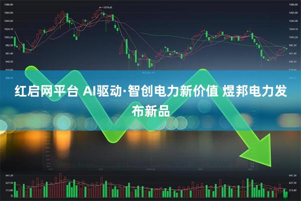 红启网平台 AI驱动·智创电力新价值 煜邦电力发布新品