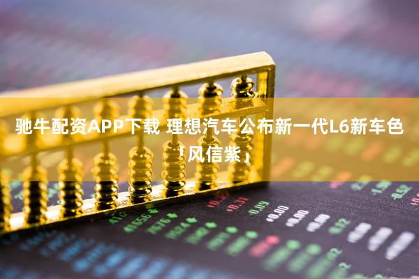 驰牛配资APP下载 理想汽车公布新一代L6新车色「风信紫」